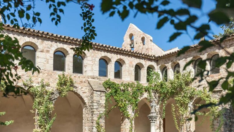 Nice: Full Day Trip Private Wine Tour (Cremat and more) - An In-Depth Look at the Tour