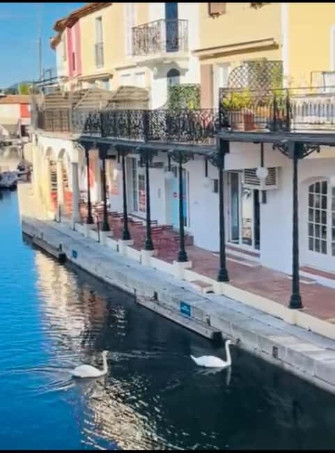 Nice: Saint-Tropez and Port Grimaud Emotional Freedom Tour - Key Points