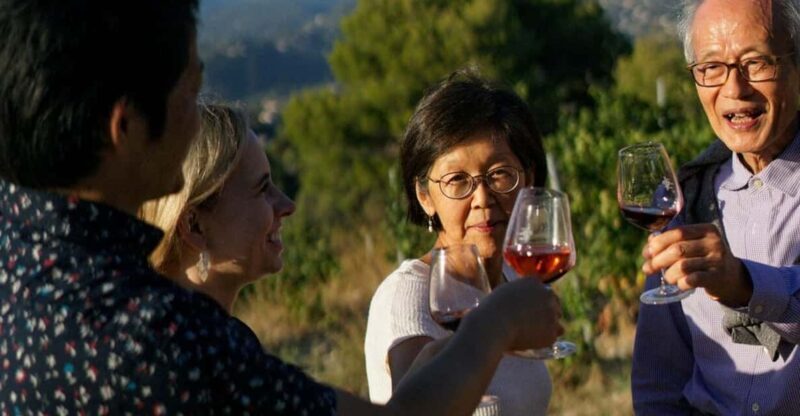 Nice: Vineyard Tour with Wine Tasting - What You Can Expect from This Vineyard Tour