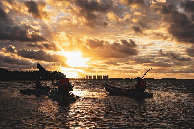 Nichupte Lagoon! Mangrove Kayaking Experience from Cancun - Who Should Consider This Tour?