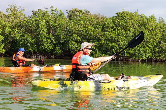 Nichupte Lagoon! Mangrove Kayaking Experience from Cancun - FAQ