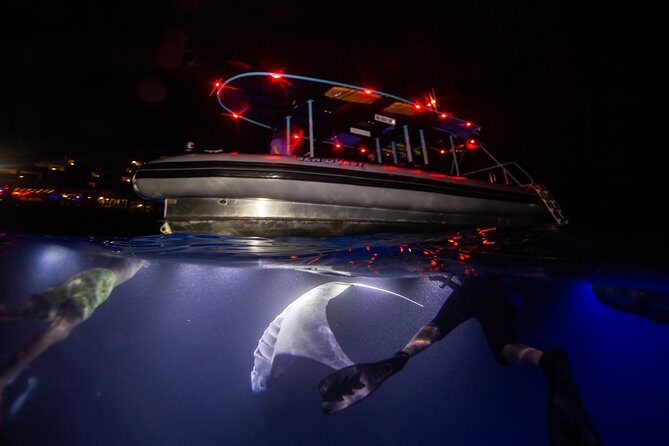 Night Manta Ray Experience - What is the Night Manta Ray Experience?