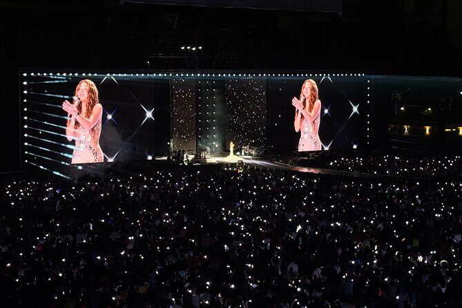 Night of VIP Concert in Mexico City with Private Transfer - Key Points