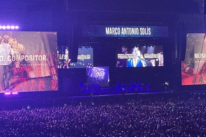 Night of VIP Concert in Mexico City with Private Transfer - Is It Worth the Price?