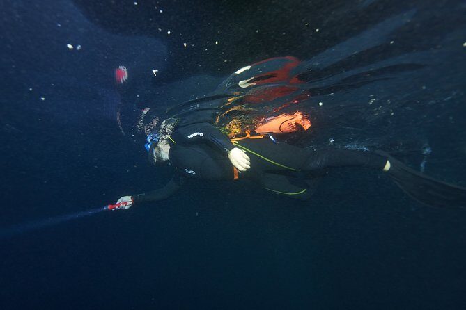 Night Snorkeling - Frequently Asked Questions