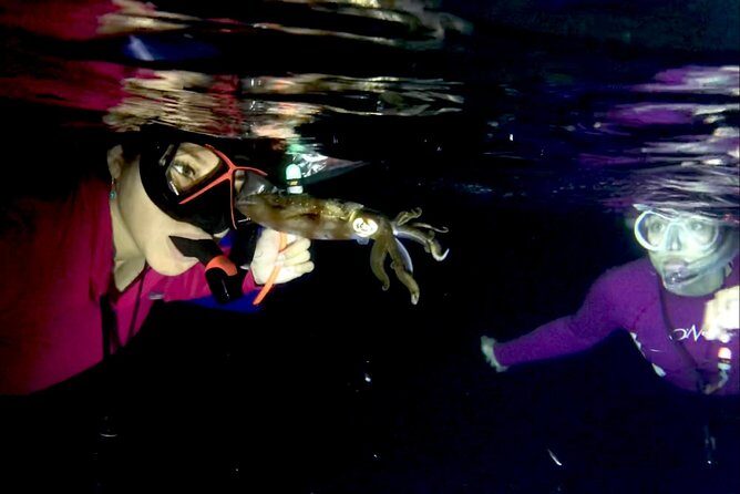 Night Snorkeling - Observation of octopus and other species - What We Think