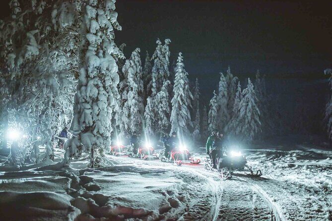 Night Snowmobile Safari, Rovaniemi - Who Is This Tour Best For?