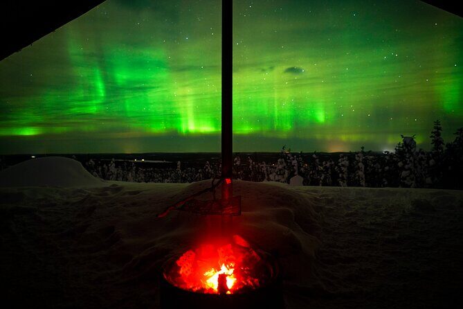 Night Snowshoeing Adventure under the Northern Lights - Why This Tour Might Be a Great Choice