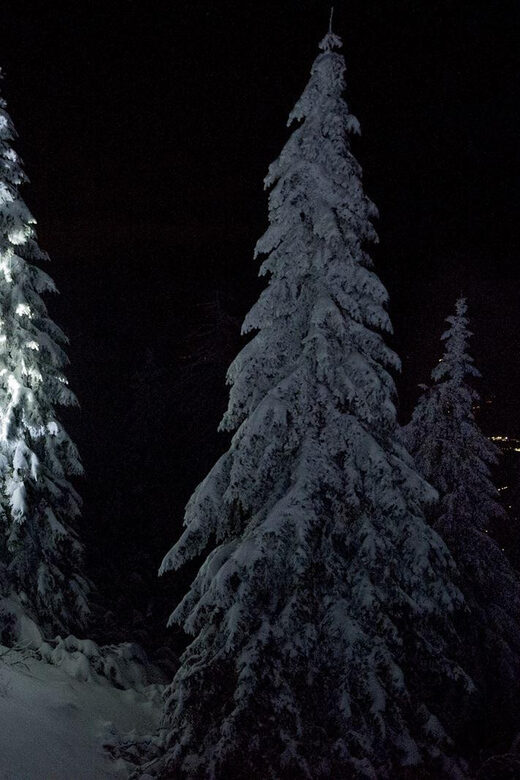 Night Snowshoeing Lapland Experience - Key Points