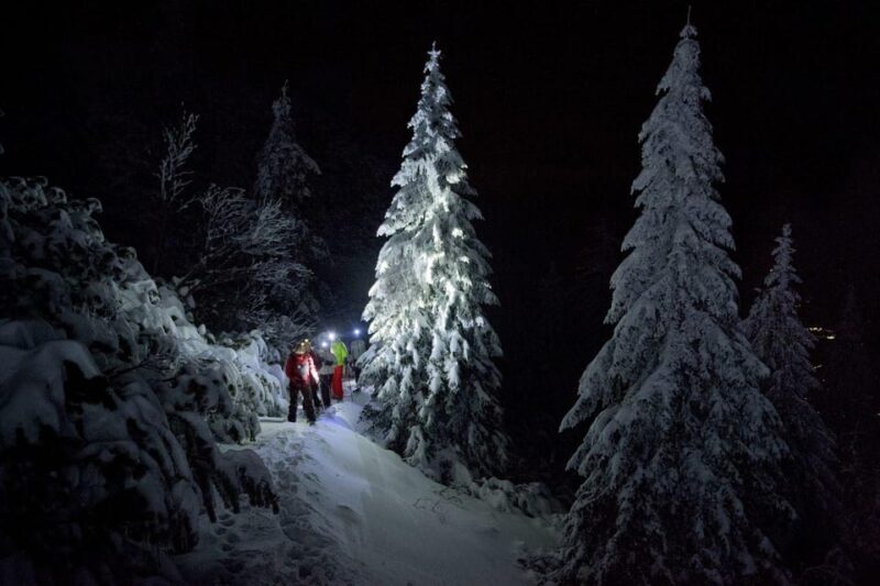 Night Snowshoeing Lapland Experience - Exploring the Night Snowshoeing Experience in Rovaniemi