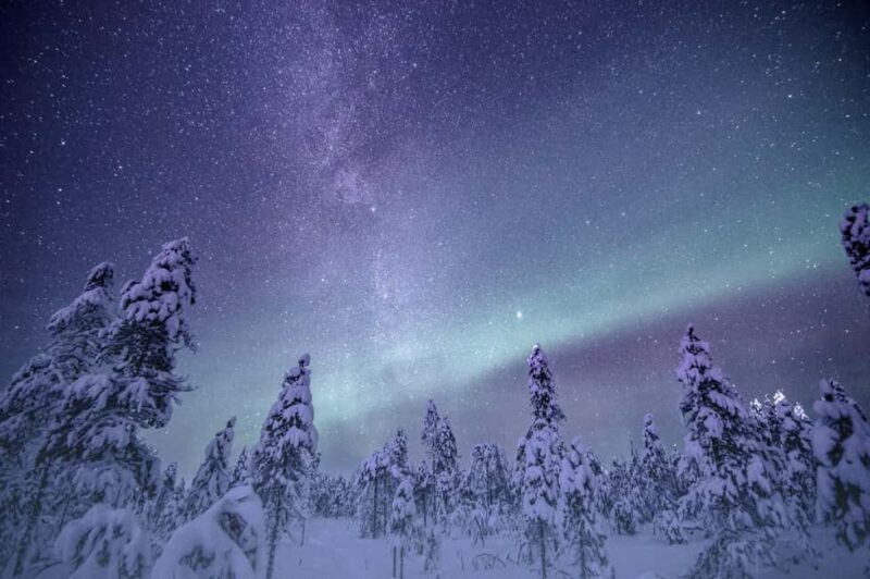 Night Star Walk on Snowshoes in the Finnish Wilderness - Key Points