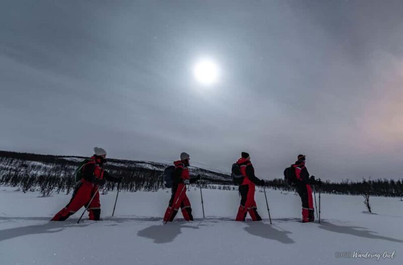Night Star Walk on Snowshoes in the Finnish Wilderness - Final Thoughts: Who Should Consider This Tour?