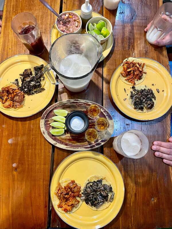 Night Tacos & Marquesitas With a Cancún Native - Practical Tips for a Smooth Experience