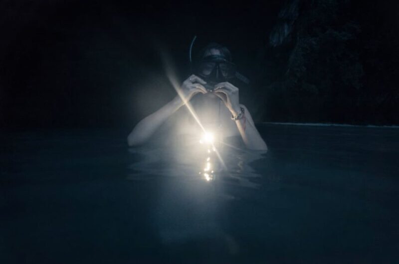 Night Time Snorkel At Turtle Town With Lights And Stars - The Value of the Experience