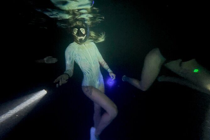 Night-Time Snorkel at TurtleTown with Stars, Lights, and Photos - Who Should Consider This Tour?