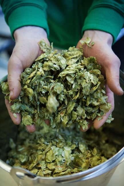 Night time tour of Harstad Craft Brewery - Who Should Consider This Tour?