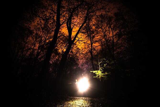 Night Tour in Hoia Baciu Forest - What the Tour Entails