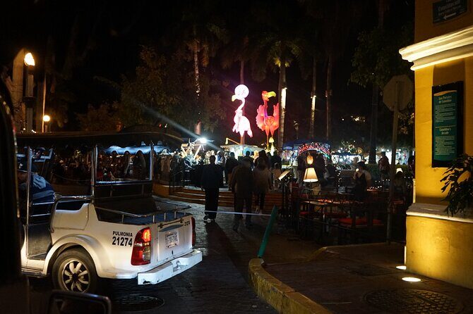 Night tour in lungonia along the boardwalk - The Downside? A Few Considerations