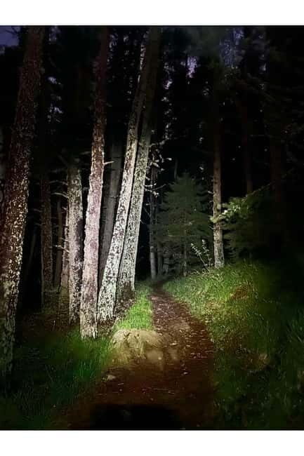 Night view of Sofia, mountain hiking tour to Kamen del Peak. - Introduction