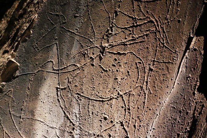 Night Visit to the Engravings of Foz Côa in 4x4 between DOURO and CÔA - FAQ