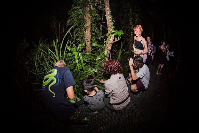 Night Walk in Cairns Botanic Gardens - Let's Go Buggin - FAQ