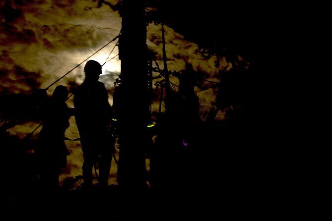 Night Zipline Adventure: 3 Lines - Is It Worth the Price?