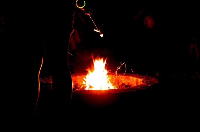 Night Zipline Adventure: 3 Lines - Who Will Love This Experience?