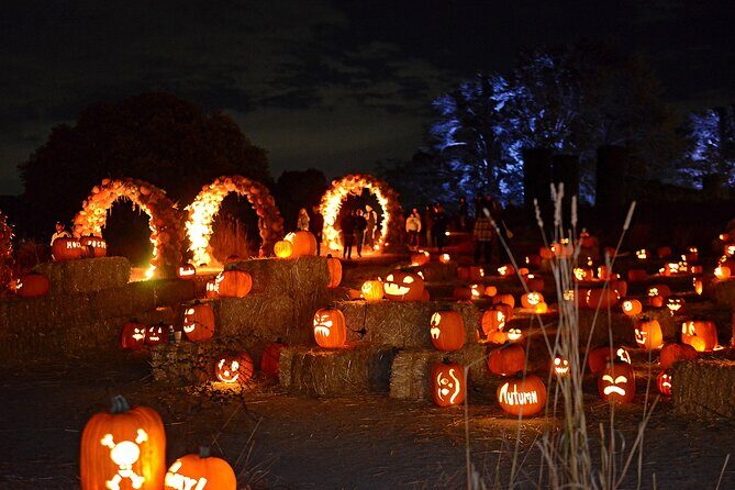 Nightfall - What to Expect from Nightfall at Filoli