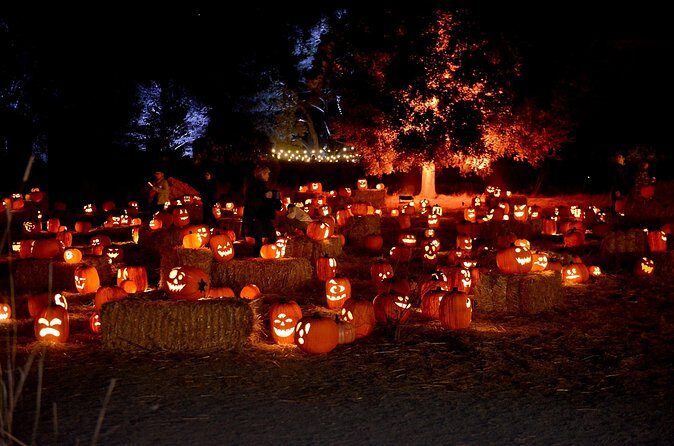 Nightfall - FAQs about Nightfall at Filoli