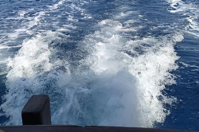 Nightly squid fishing - private tour - The Value of the Tour