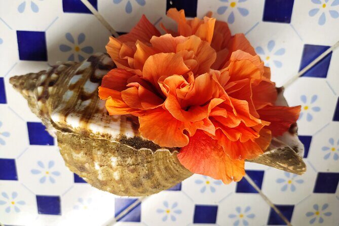 Nightly squid fishing - private tour - The Sum Up