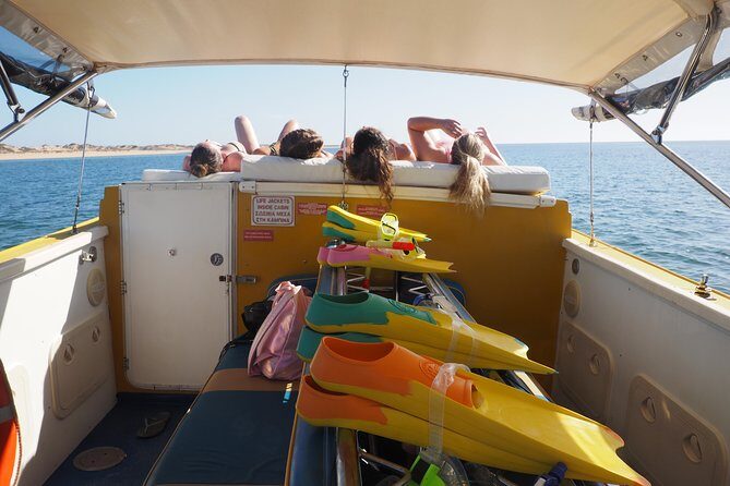 Ningaloo Reef Snorkel and Wildlife Adventure - What Makes This Tour Special?