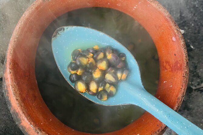 Nixtamal Cooking Class & Tour To The San Agustin Center of Arts - Who Will Love This Experience?