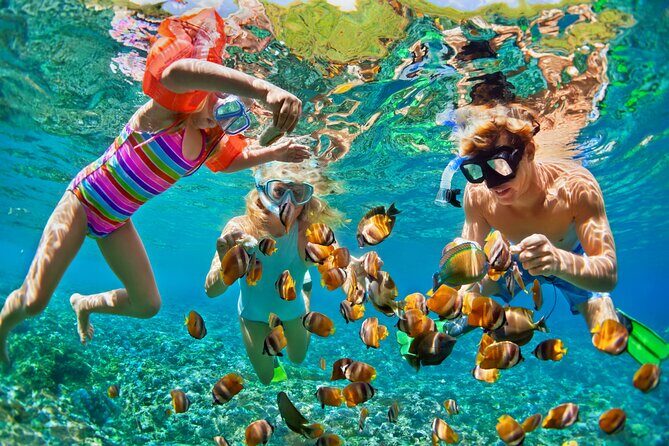 Nizuc Reef Snorkel Experience - What to Expect on the Tour