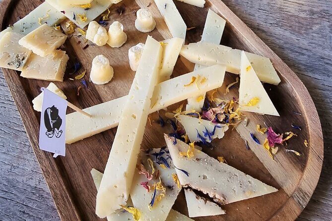 NO DIET CLUB - Unique local food tour in Ajaccio (English/French) - Final Thoughts: Who Will Love This Tour?