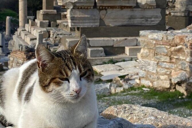 NO HIDDEN FEES : Ephesus, Virgin Mary's House, St. John Basilica - Who Is This Tour Best For?