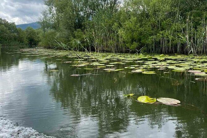 Noah's Ark Skadar Lake Journey - Practical Details and Considerations
