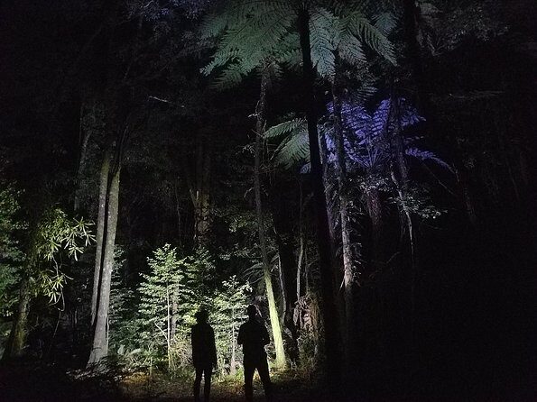 Nocturnal adventure Glow-worm tour - Final Thoughts