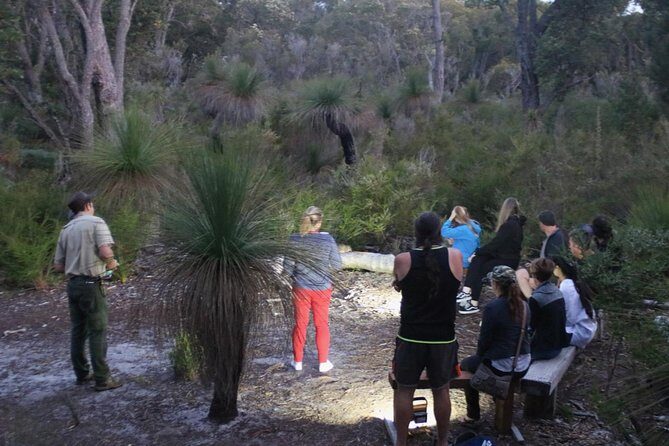 Nocturnal Wildlife Tour from Busselton - What To Expect: A Detailed Look at the Experience