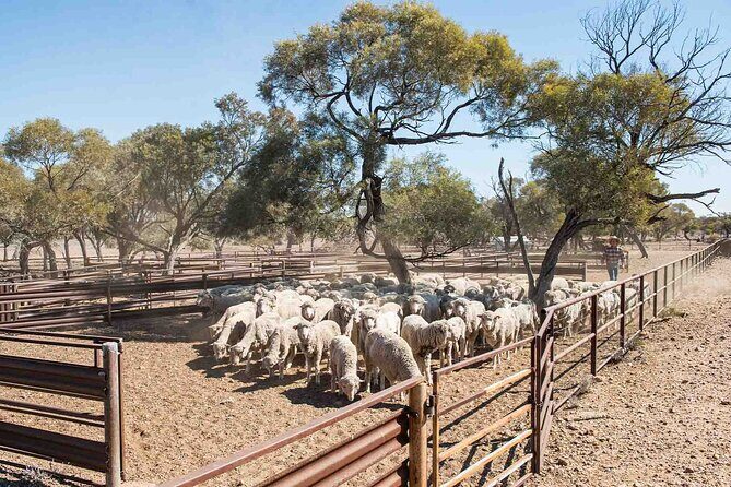 Nogo Station Experience - The Experience You Will Take Home