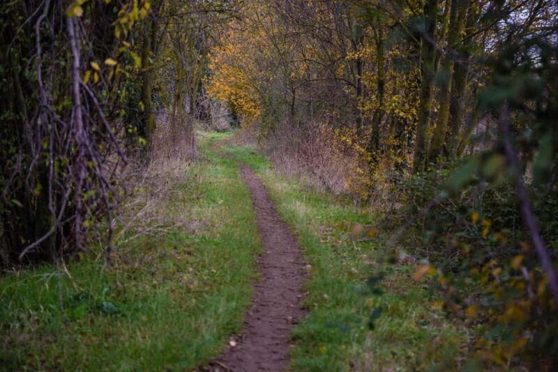 Nomentano Bridge and Garden City: e-biking in the Aniene River Reserve - Frequently Asked Questions