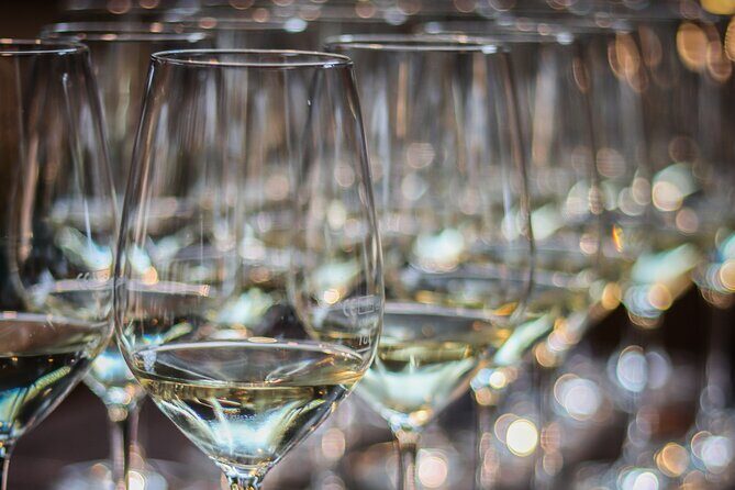 Non-Alcoholic Wine Tasting with an Expert - An In-Depth Look at the Experience