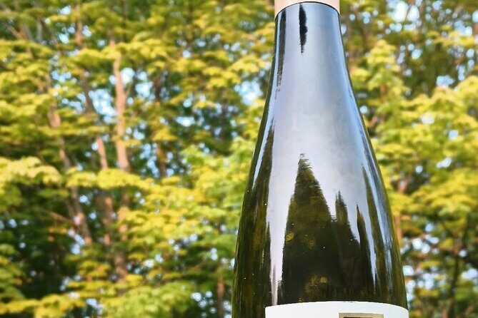 NON BUS Traverse City Fine Red Wine Tasting Tour - Transportation and Group Size: What It Means for You