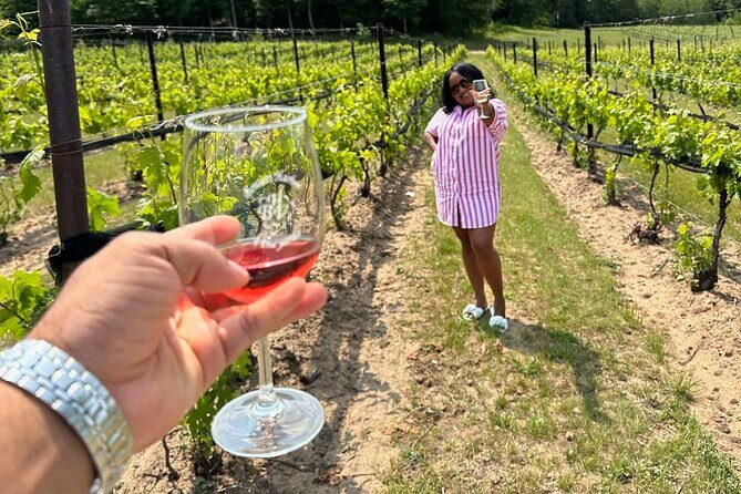 NON BUS Traverse City Wine Old Mission Peninsula Wine Tour - Final Thoughts