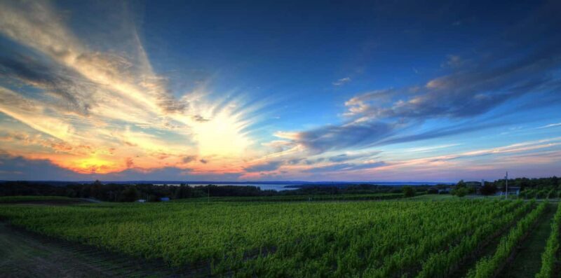 NON BUS White Wine Lover Old Mission Traverse City Wine Tour - FAQ