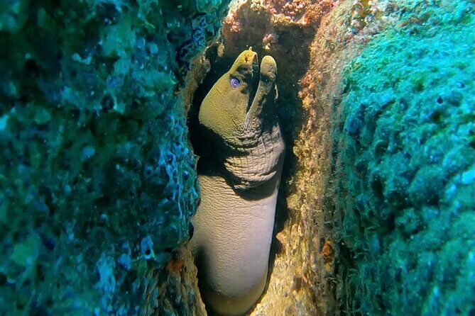 Non-Certified Diving Adventure in Cabo San Lucas - An In-Depth Look at the Non-Certified Diving Tour