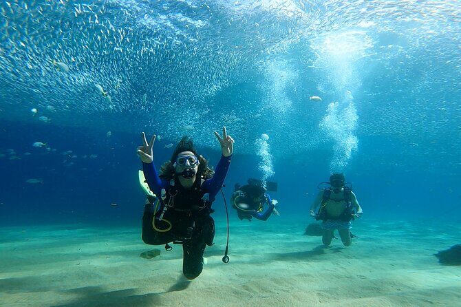 Non-Certified Diving Adventure in Cabo San Lucas - The Sum Up: Is It Worth It?