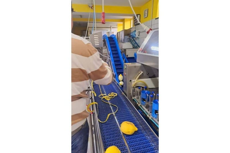 Nonna Concettina Sorrento lemon tour Lemon Tour - FAQs About the Tour