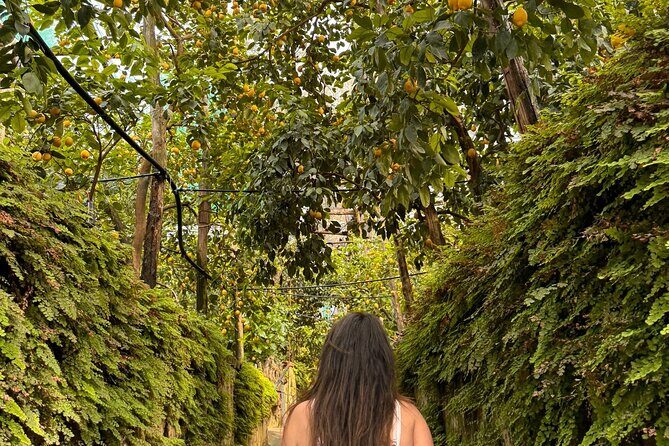 Nonno Mario Sorrento Lemon tour - What the Tour Entails: A Detailed Look