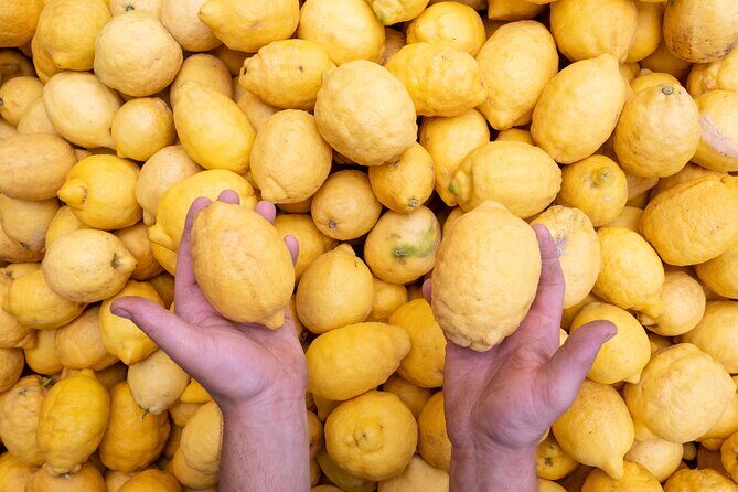 Nonno Mario Sorrento Lemon tour - Practical Details: What You Need to Know